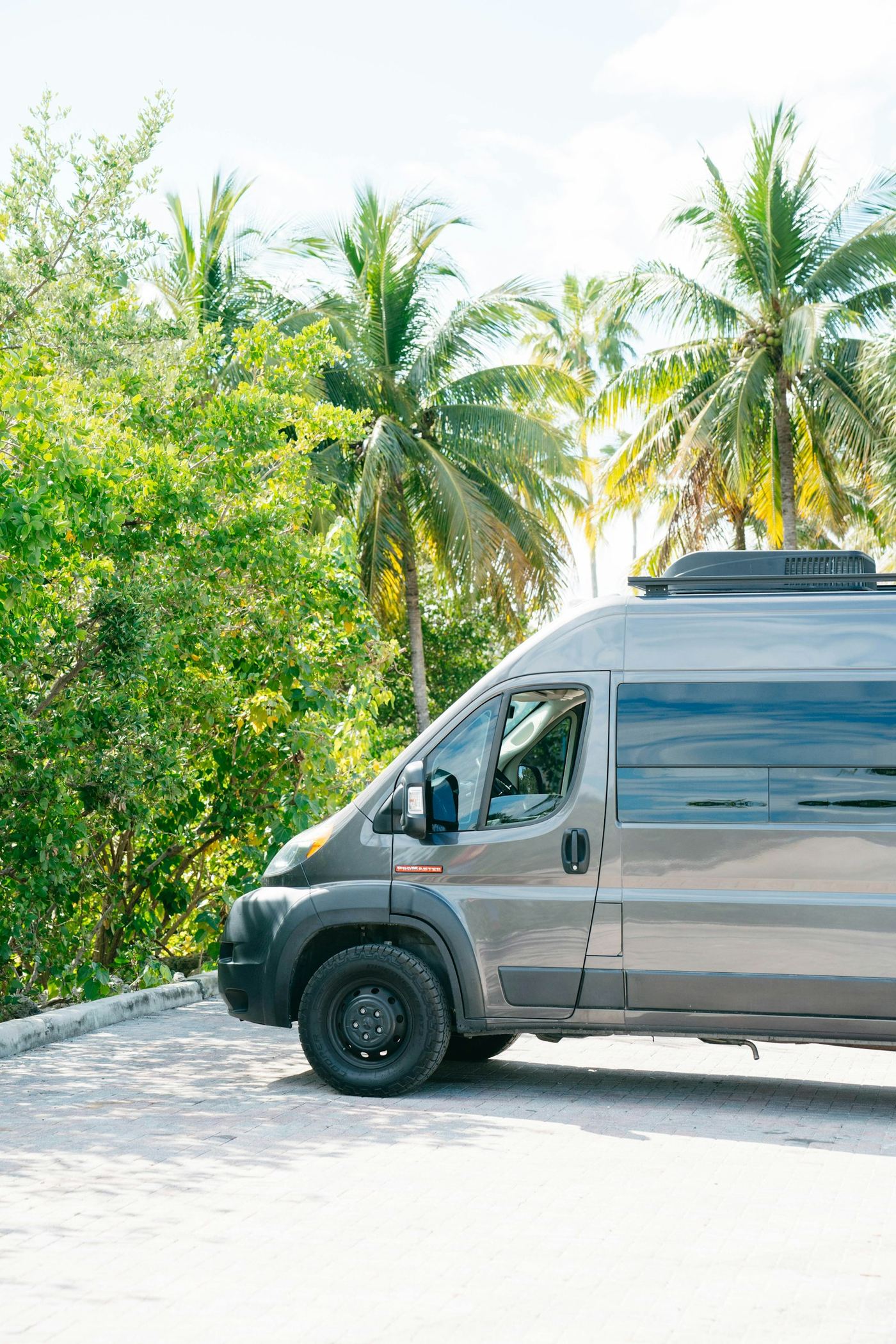 RV parked among palm trees in Florida